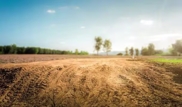 Land Project 2